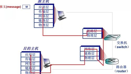 計算機網絡性能與結構體系解析